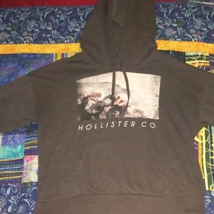Graphic Cropped Hollister Hoodie